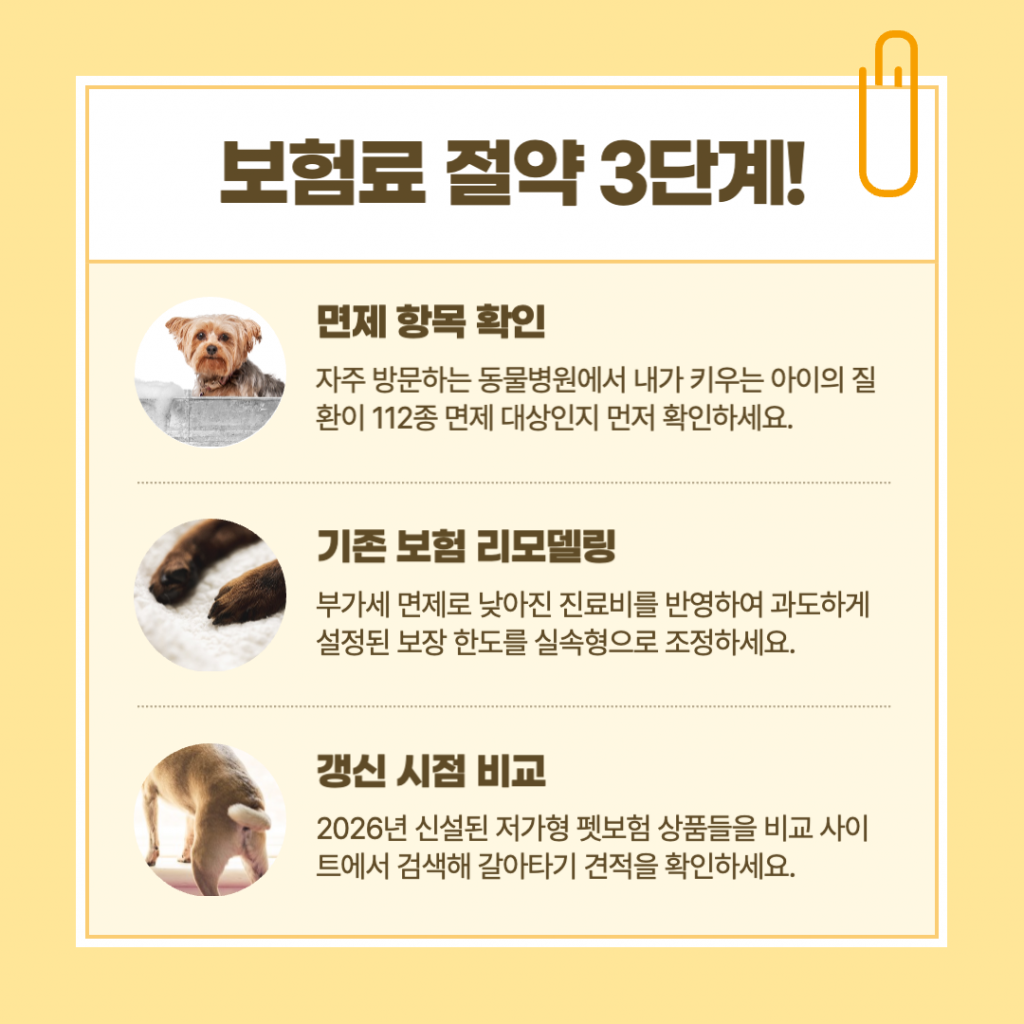 고정 지출을 줄이는 첫걸음! 보험료 절약 3단계 핵심 요약.