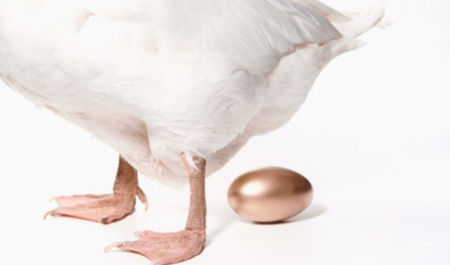 황금알을 낳는 거위 일러스트와 '1억 예금 이자 비교' 문구가 결합된 이미지. 거위가 낳은 황금알 위에 '연 4,000,000원 수익' 등 구체적인 이자 금액이 표시되어 있으며, 시중 은행과 저축은행의 금리 차이를 시각화함.